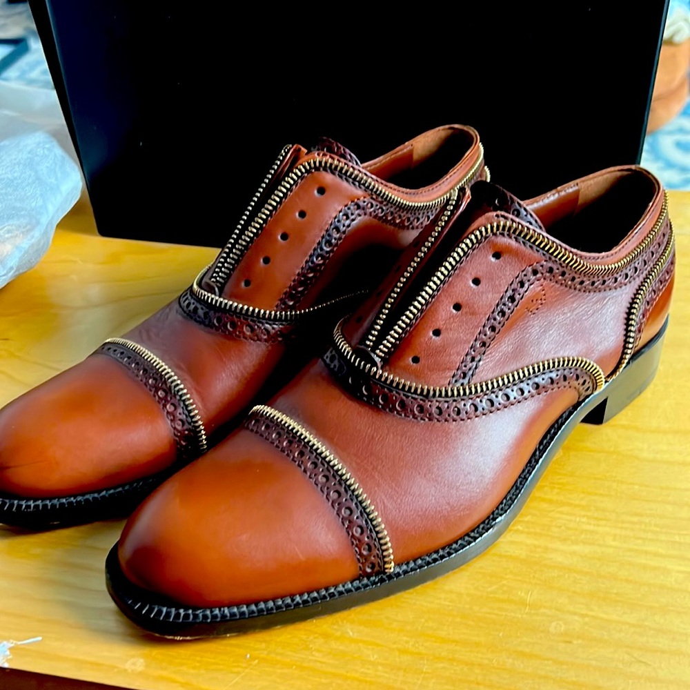 Classy Louis Vuitton shoe - gently worn